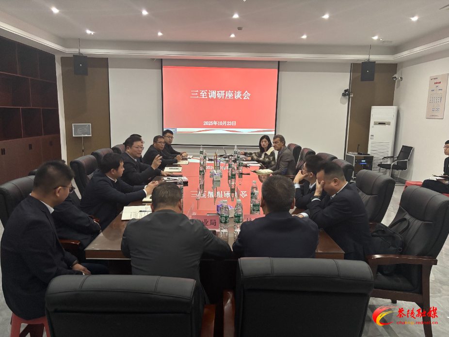 杨红兵到三至科技调研座谈