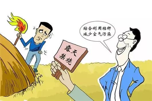 秸秆焚烧危害大，违者将会被处罚！