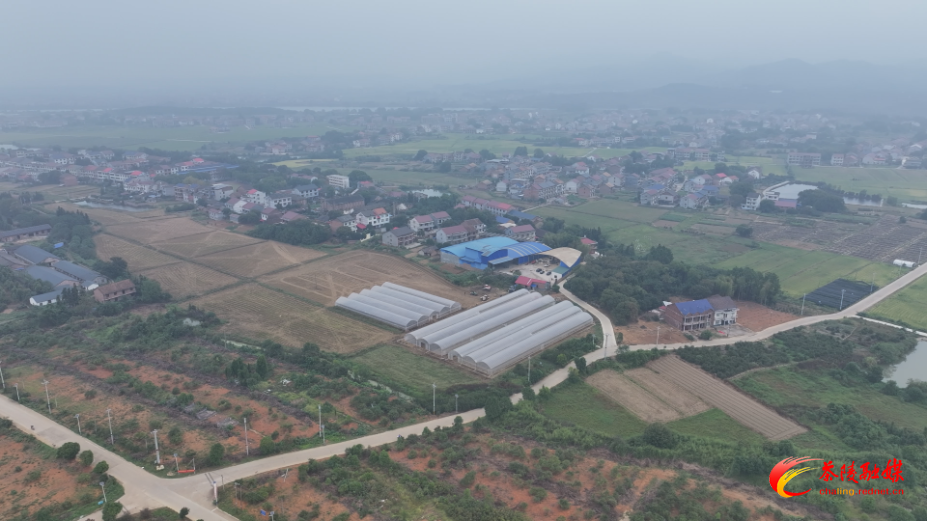 秋播油菜正当时 机械化播种绘“丰”景