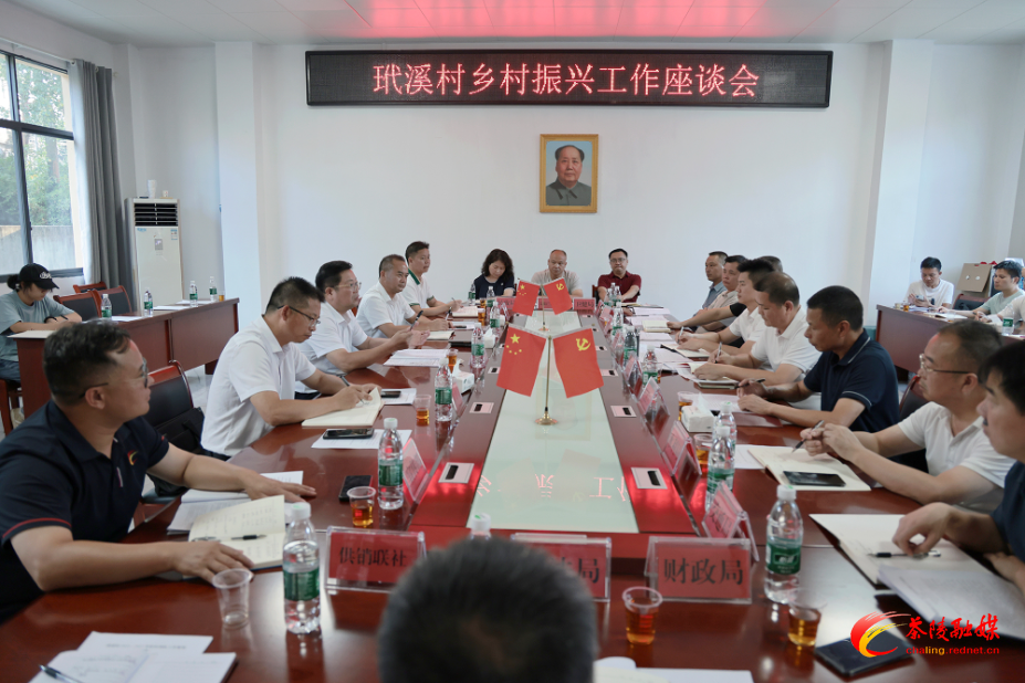 杨红兵到严塘镇玳溪村调研乡村振兴工作