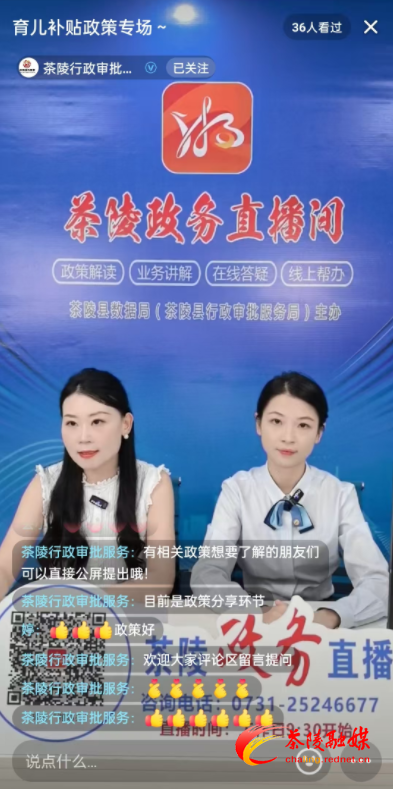 茶陵政务直播“手把手”教学 育儿补贴申领难题现场解