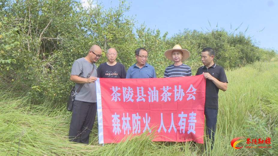 县油茶协会：巡山护林送技术 筑牢产业“安全墙”