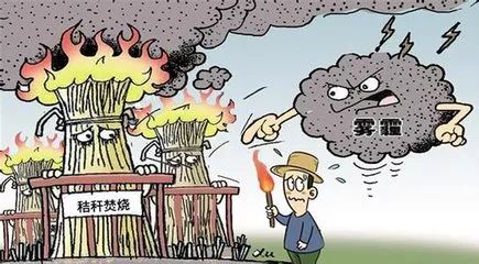 秸秆焚烧危害大，违者将会被处罚！