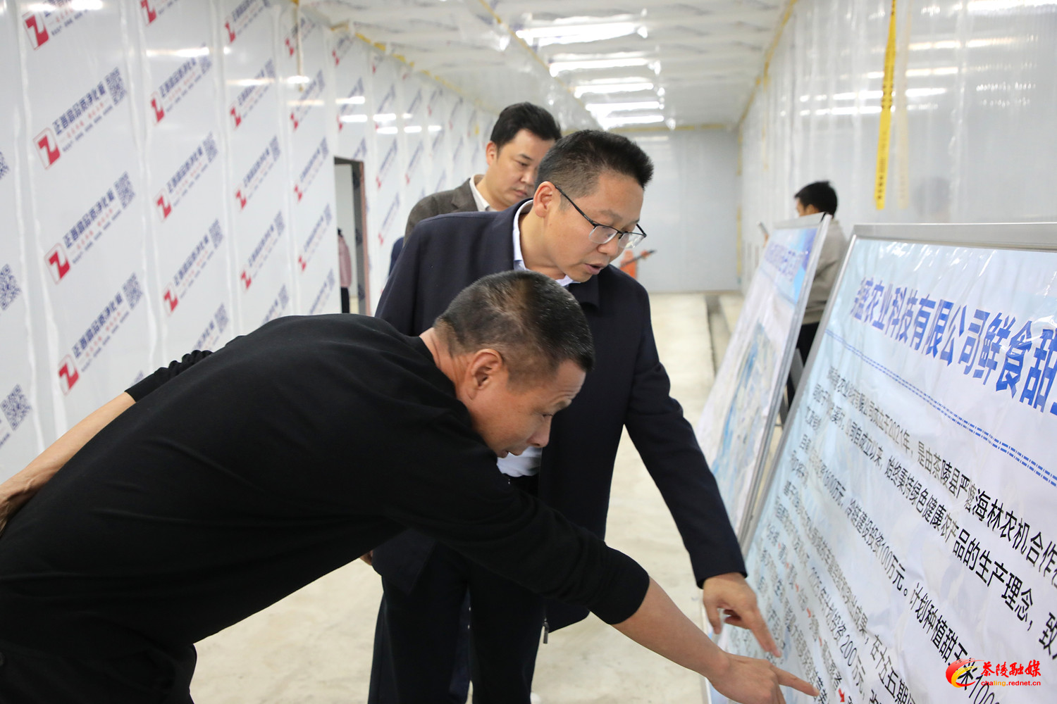 朱毅强到严塘镇调研