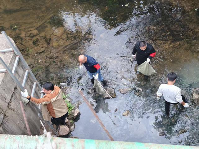 净岸护水，荷塘区在行动