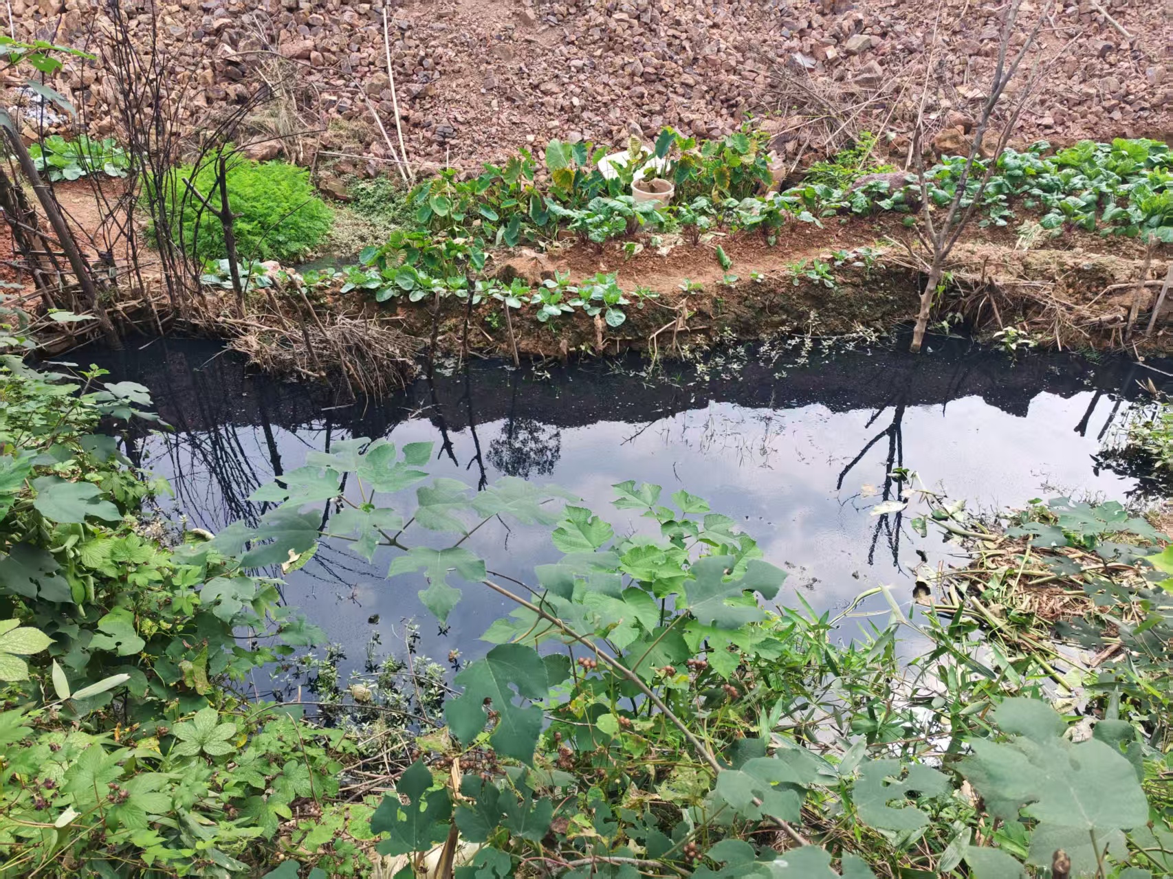 荷塘区生环局高效处置园区管道破损问题切实保障居民用水安全​