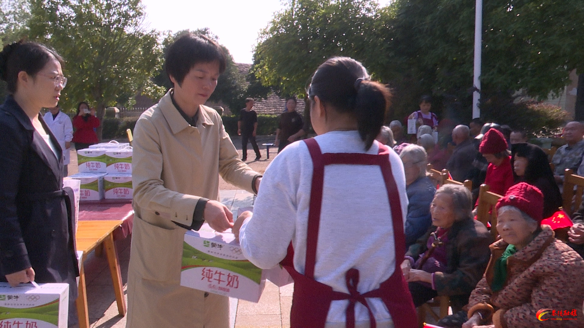 茶陵县多形式开展重阳节主题活动