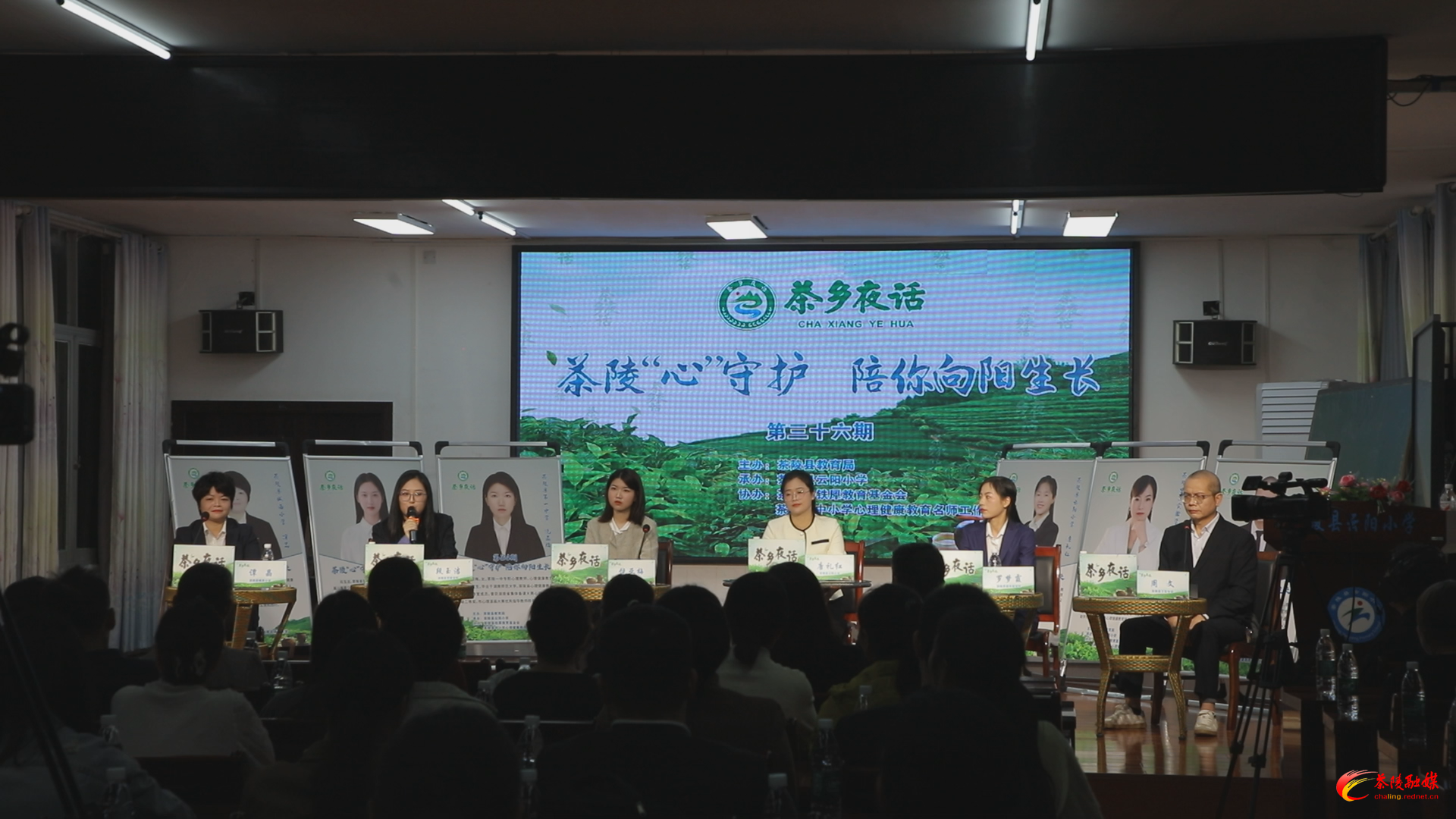 茶乡夜话：“心”守护 陪你向阳生长