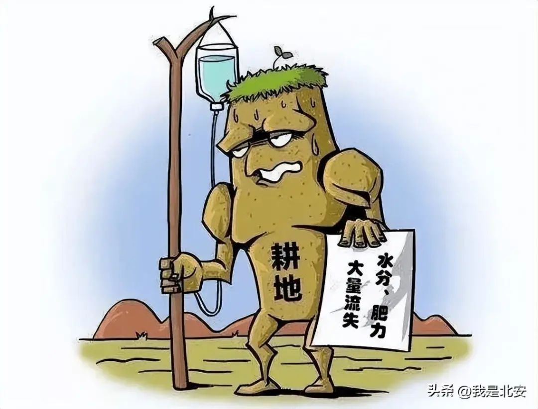 秸秆禁烧知多少