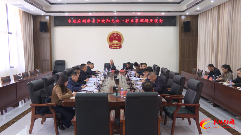 欧阳元初一行来茶调研医疗保障工作