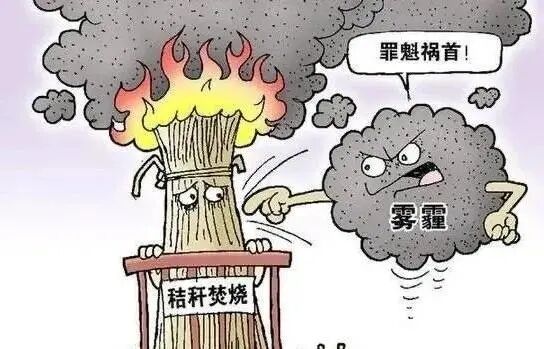 秸秆5大危害 6种变废为宝技巧，你必须知道