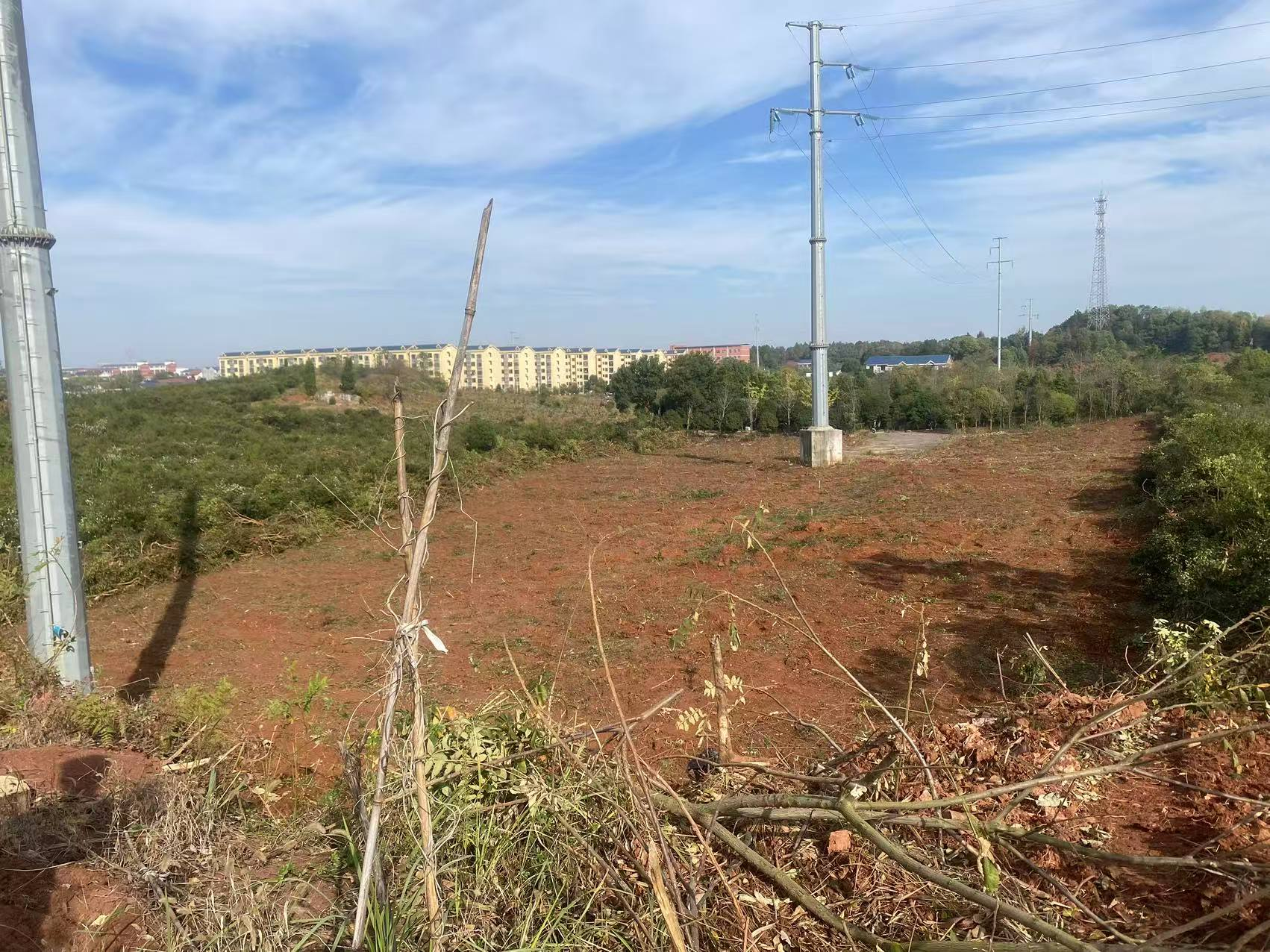 联星街道：枫岭大道北段建设项目取得关键进展征地补偿全面完成迁坟清表即将启动