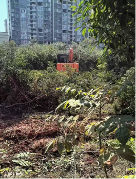 联星街道：枫岭大道北段建设项目取得关键进展征地补偿全面完成迁坟清表即将启动