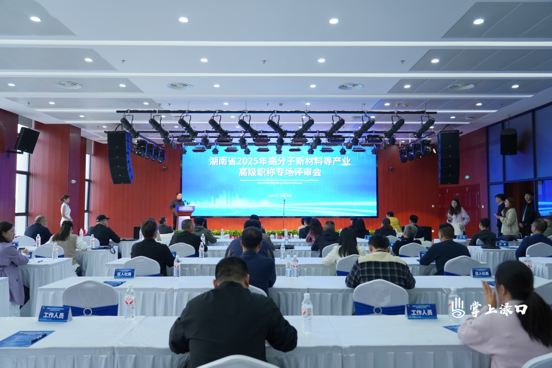 渌口区首次承办湖南省2025年高分子新材料等产业高级职称专场评审工作