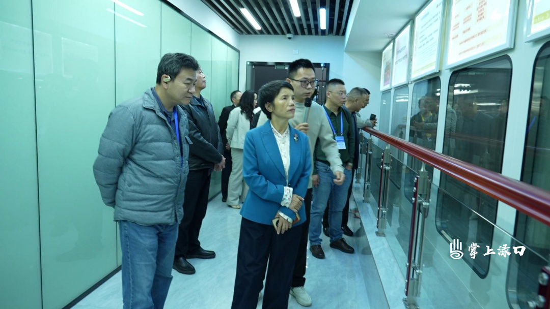 异地商会企业家来区参观考察 共探合作新机