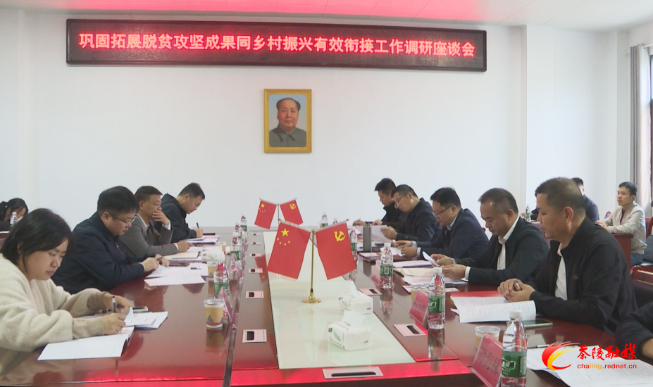 市委常务副秘书长林涛一行来茶调研