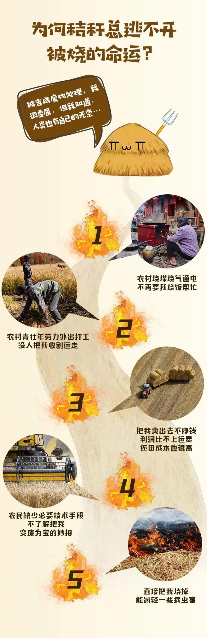 自觉做好秸秆禁烧 共同守护蓝天净土