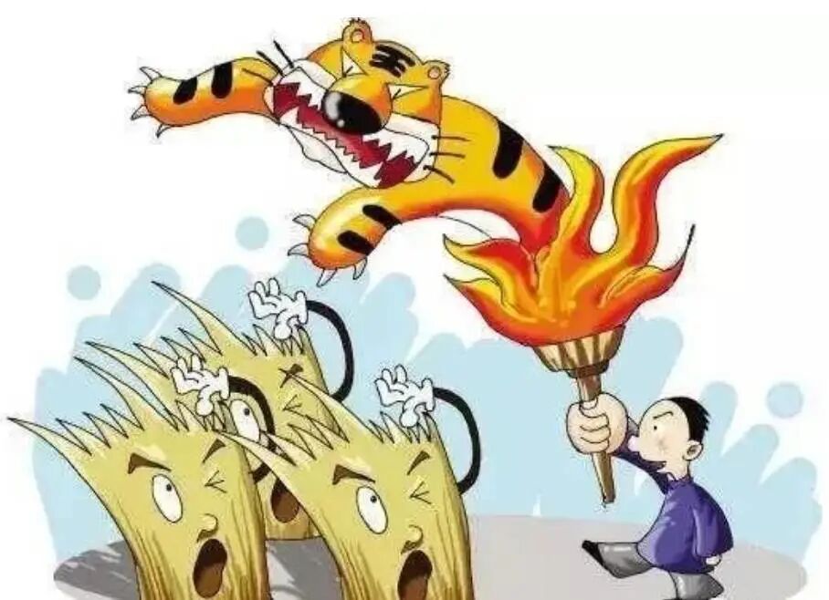 秸秆5大危害 6种变废为宝技巧，你必须知道