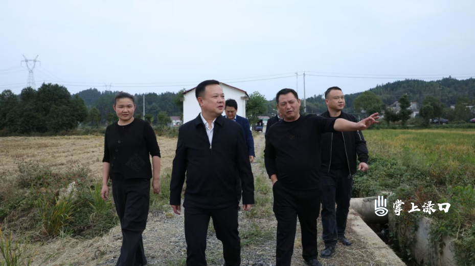 李晓彤调研晚稻低茬收割工作