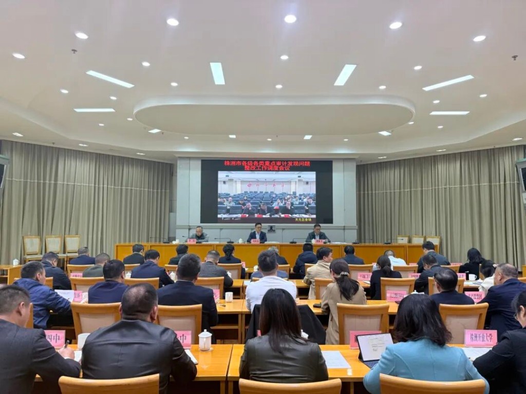 株洲市政府专题调度各级各类重点审计发现问题整改工作