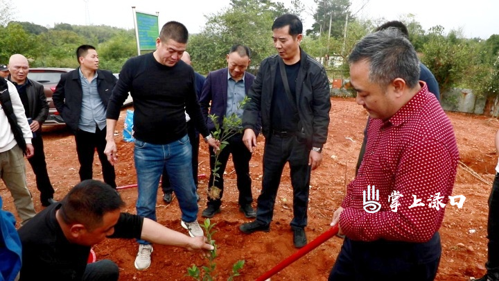 渌口区油茶培训“干货满满”助增产