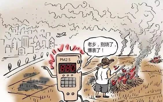 秸秆禁烧，这些你要知道