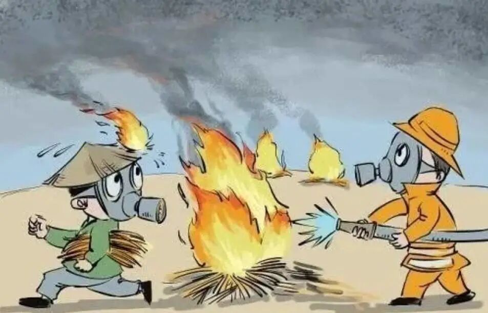 秸秆5大危害 6种变废为宝技巧，你必须知道