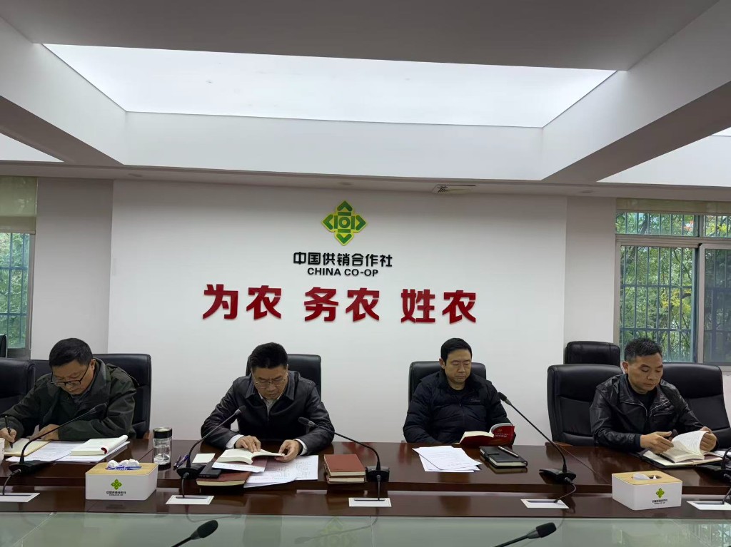 市供销社召开2025年 第11次党组（扩大）会议