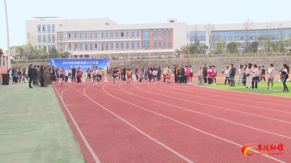 2025年茶陵县第三十五届中小学生运动会开幕