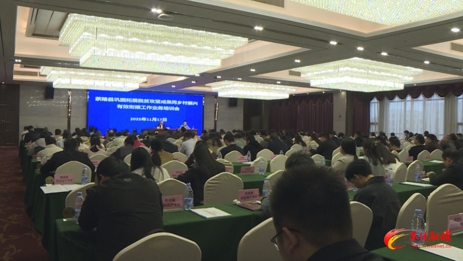 茶陵县巩固拓展脱贫攻坚成果同乡村振兴有效衔接工作业务培训会议召开