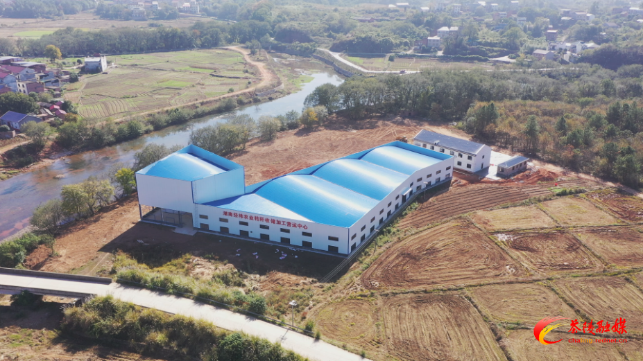 【画卷•乡村振兴】95%综合利用率！茶陵铺就秸秆综合回收利用绿色之路