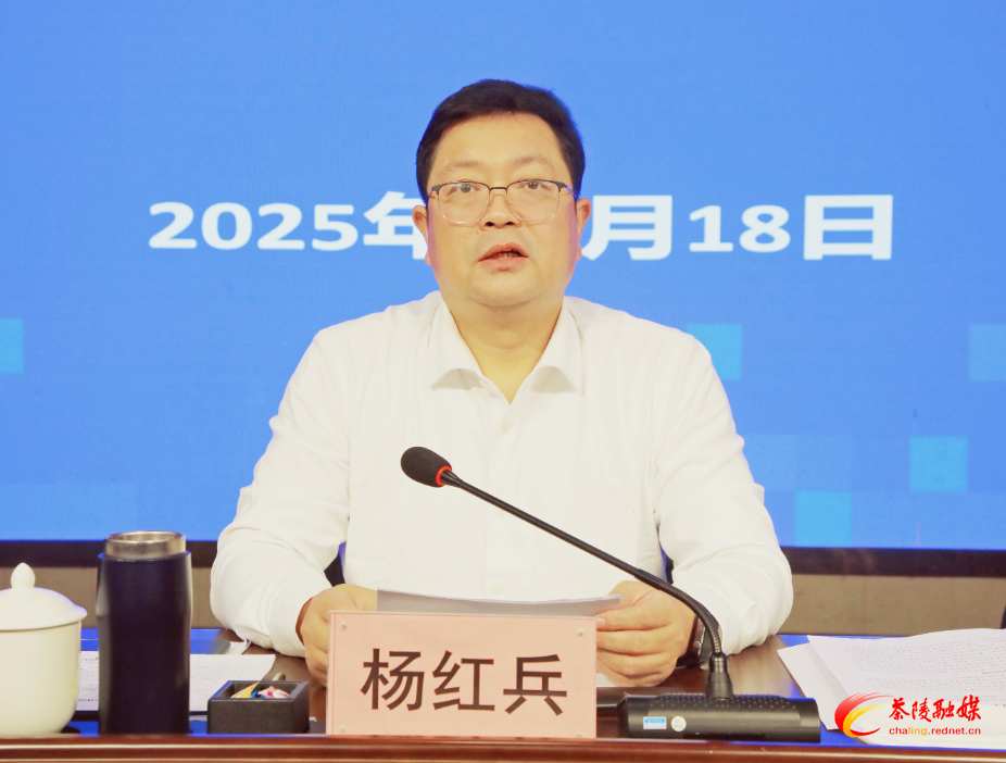 2025年茶陵县生态环境保护工作（扩大）会议召开