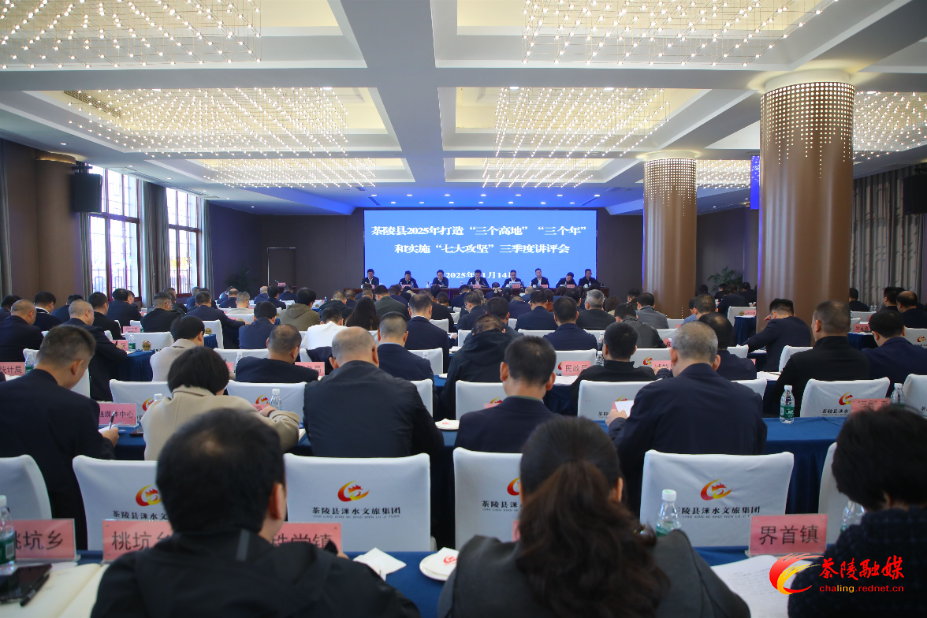 茶陵县2025年打造“三个高地”“三个年”和实施“七大攻坚”三季度讲评会召开