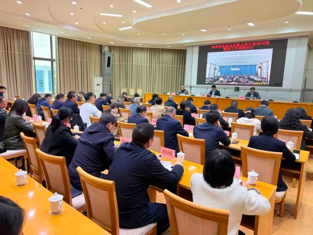 株洲市政府专题调度各级各类重点审计发现问题整改工作