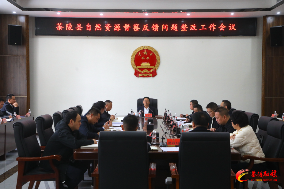 朱毅强主持召开茶陵县自然资源督察反馈问题整改工作会