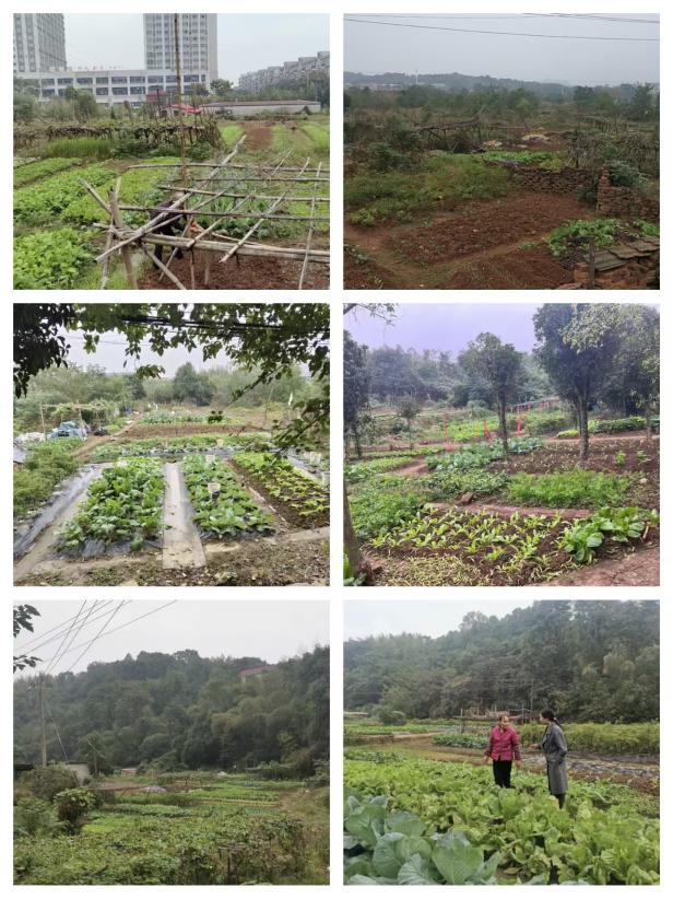 大气污染防治工作刻不容缓，上下齐心全力攻坚克难