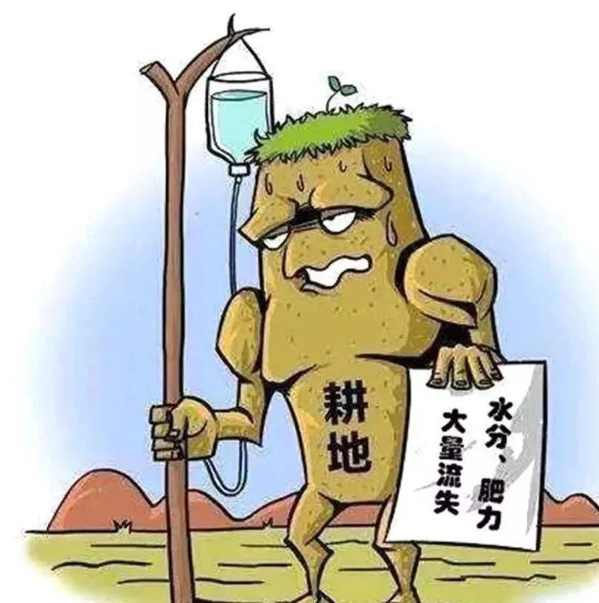 秸秆禁烧，这些你要知道