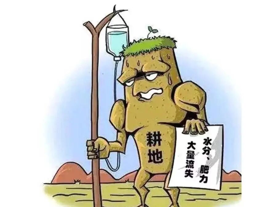 秸秆5大危害 6种变废为宝技巧，你必须知道