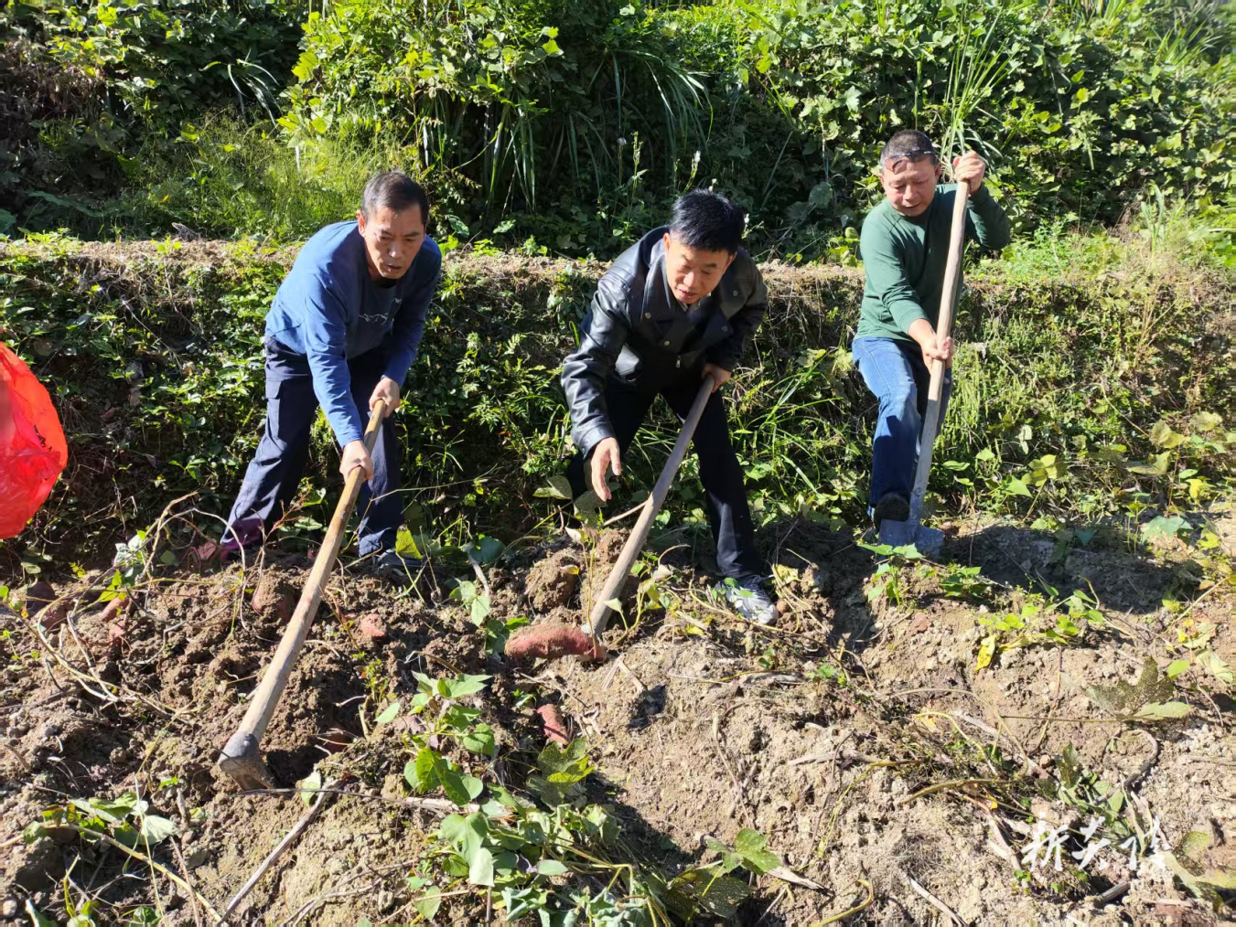 鹿原镇：抢收助耕解民忧 暖心帮扶润民心
