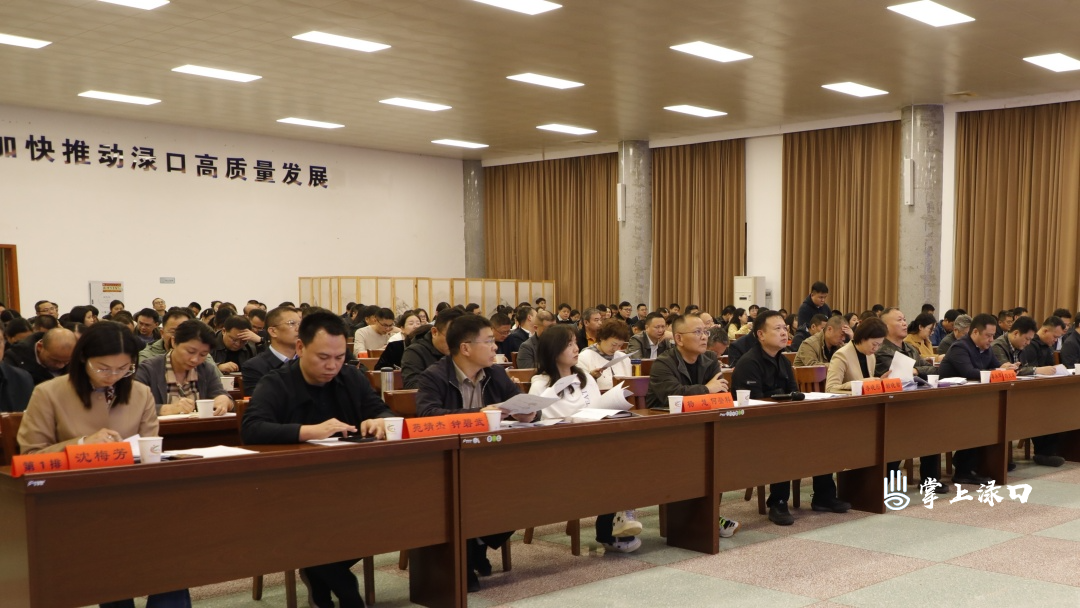 渌口区招商引资能力提升实训基础班圆满结业 为高质量发展注入新动能