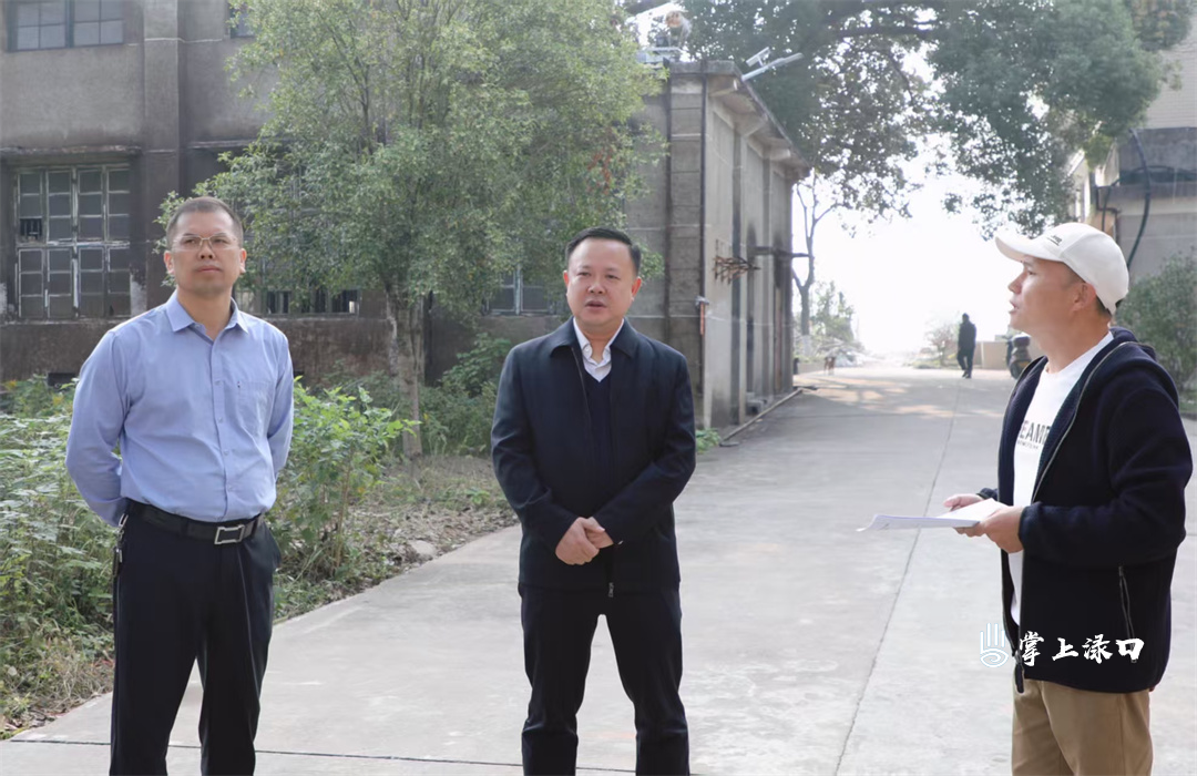 李晓彤带队赴渌口水电站调研并现场办公