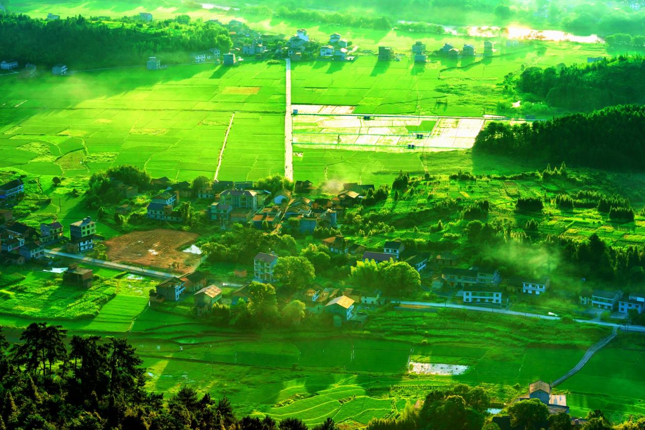 攻坚克难求突破 生态治理见真章