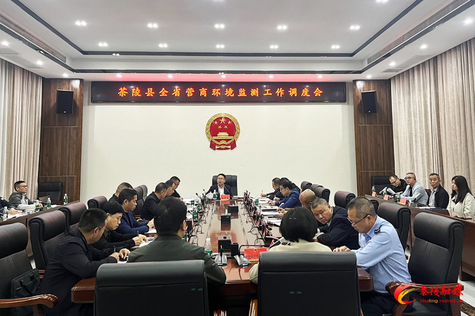 茶陵县落实全省营商环境监测工作调度会召开