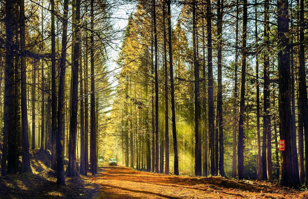 攻坚克难求突破 生态治理见真章