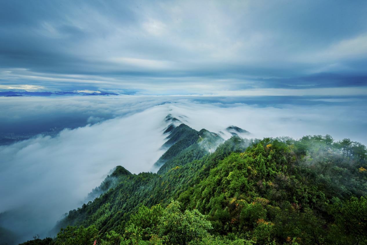 攻坚克难求突破 生态治理见真章