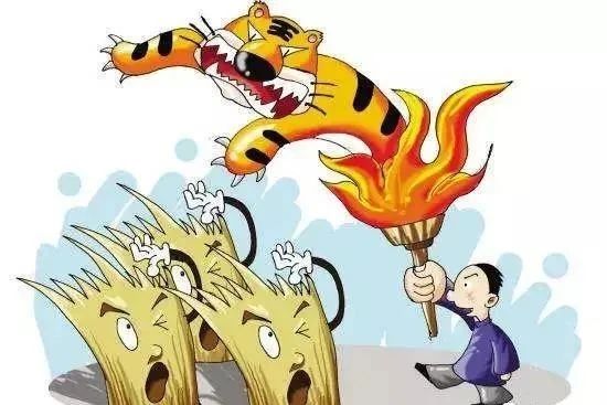 秸秆禁烧，这些你要知道