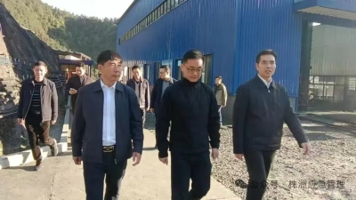 刘亚亮带队赴茶陵、攸县督导矿山安全生产工作