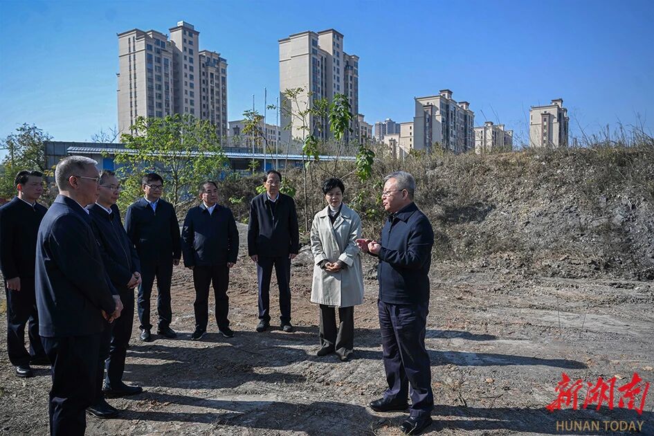 沈晓明在株洲调研