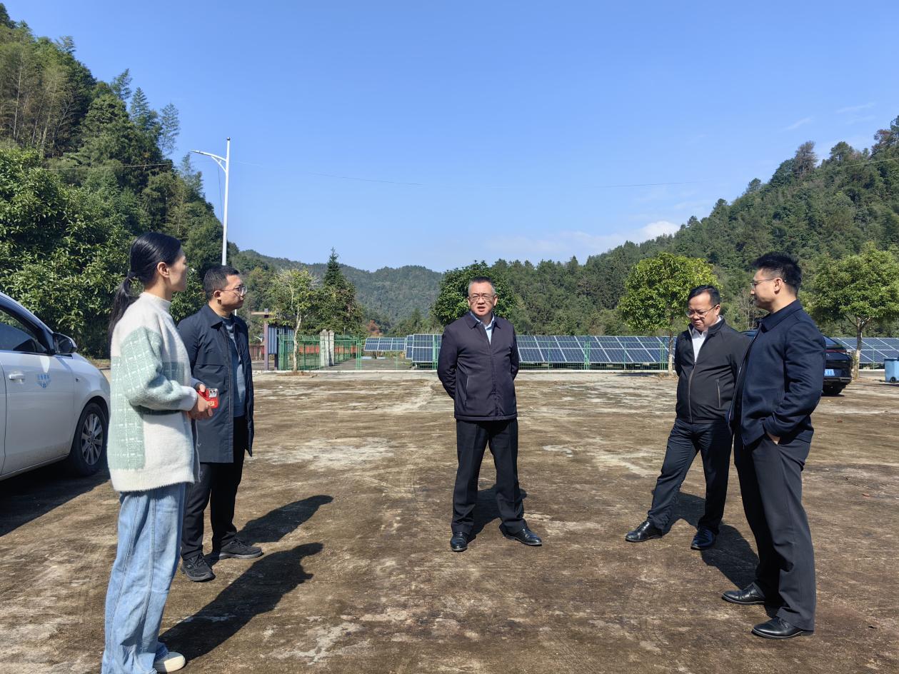 周其伟赴茶陵县西坑村指导乡村振兴工作