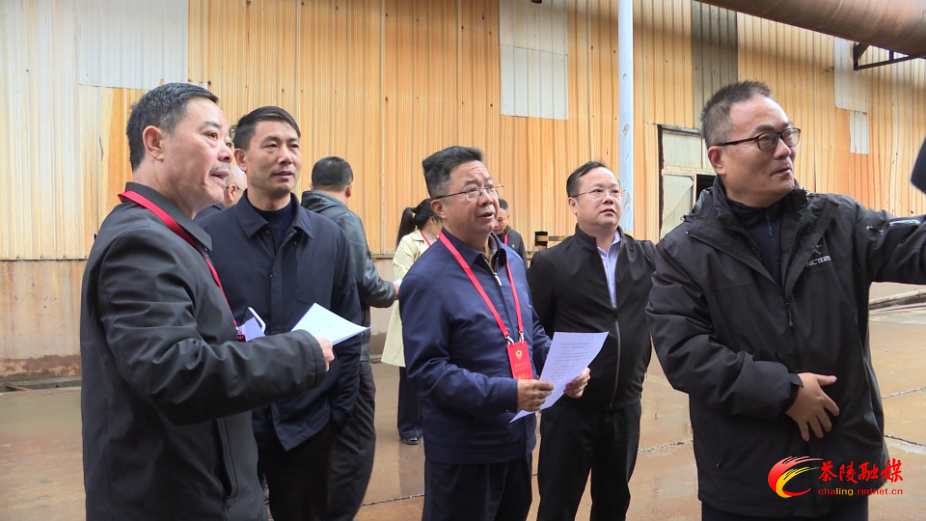 茶陵县政协组织开展大气污染管控民主监督